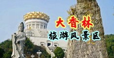 插逼骚妇日本视频中国浙江-绍兴大香林旅游风景区